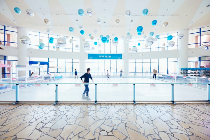 Brilliant Winter Rink イメージ1