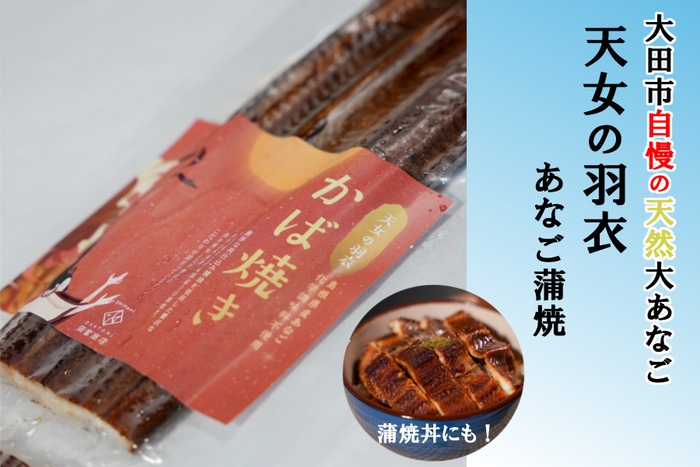 天女の羽衣 あなご蒲焼き