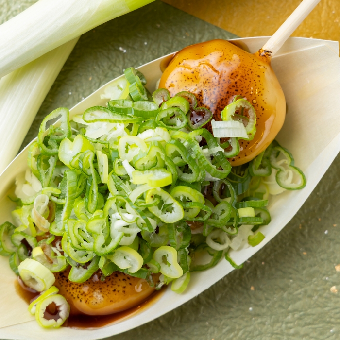 おおだまみたらしねぎまみれ