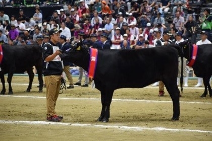 鹿児島黒牛 第11回全国和牛能力共進会 総合優勝