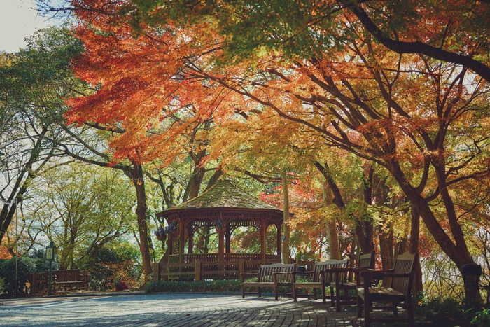 小径に佇む東屋周辺