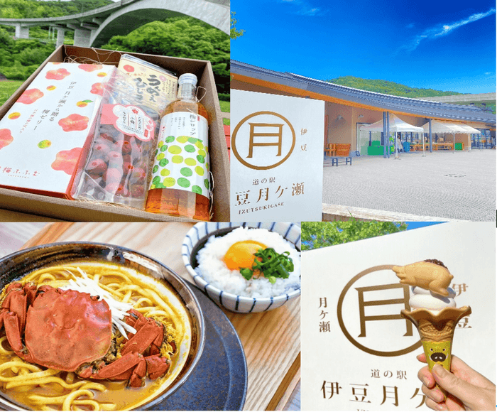 道の駅伊豆月ケ瀬について