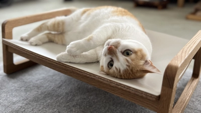 猫がくつろぎやすい形状のシンプルな木製 ネコベッドが登場！ 7月30日まで「Makuake」にて先行予約販売を実施