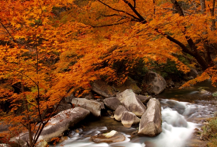 秋の昇仙峡「遊歩道」紅葉スポット