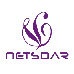 ネットスターロボットソリューションズ株式会社