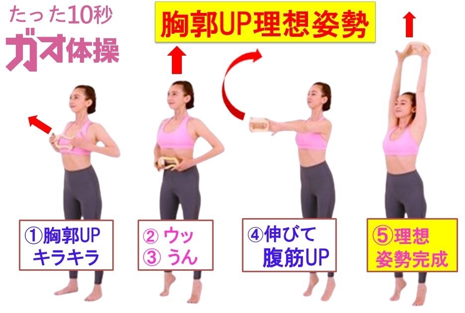 ガォ体操 胸郭UP 理想姿勢 ウェーブストレッチリング