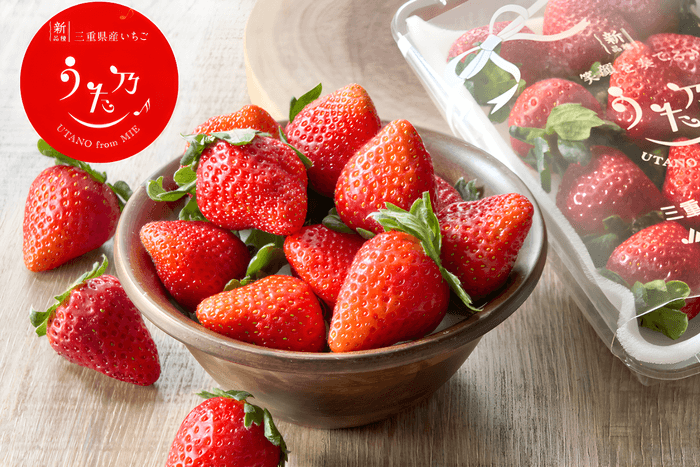 【新品種】三重県産いちご「うた乃」250g×2パック URL:https://www.ja-town.com/shop/g/g4501-20FU-ENG-C02558/