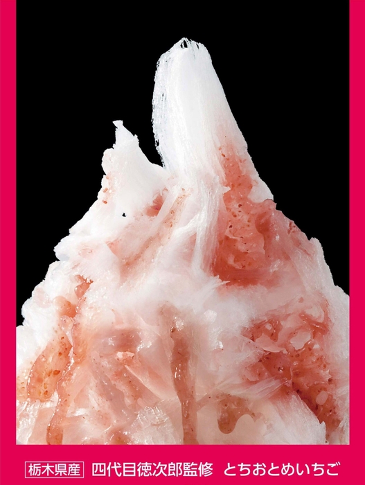 とちおとめいちご