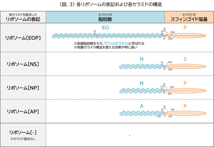 (図.3)各リポソームの表記および各セラミドの構造