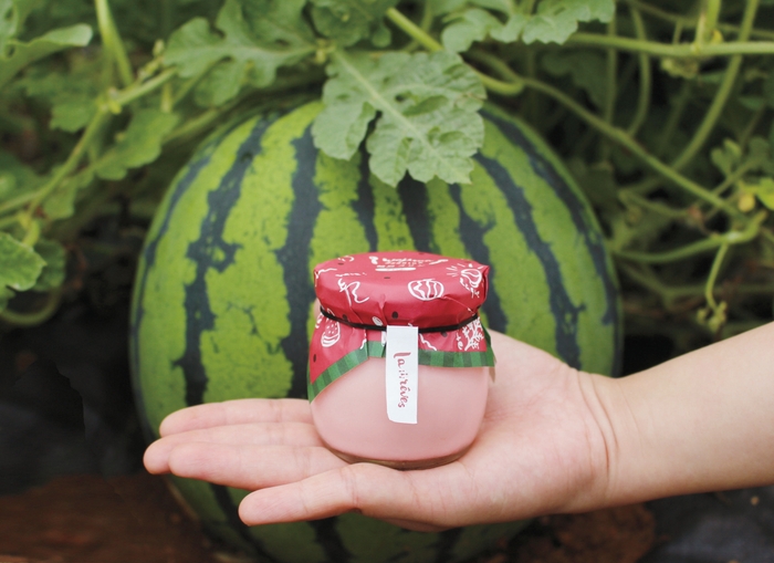 輪島プリン能登すいか 1