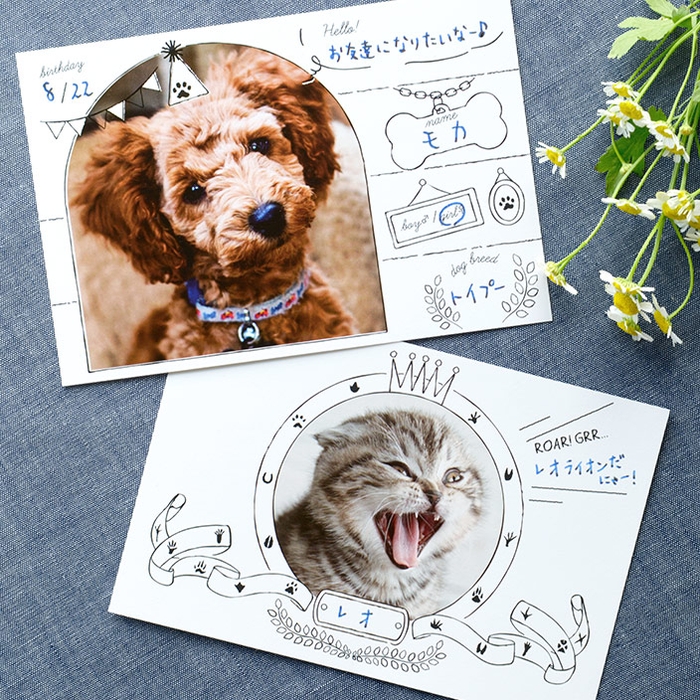 犬猫オーナー集合!30枚セット500円の『TOLOT Card』 ポストカードサイズの“ペット名刺”テンプレート登場