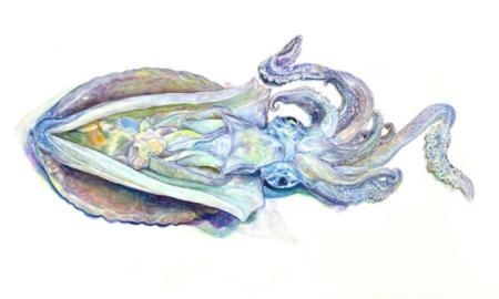 特別賞 宮内裕賀「アオリイカの解剖」