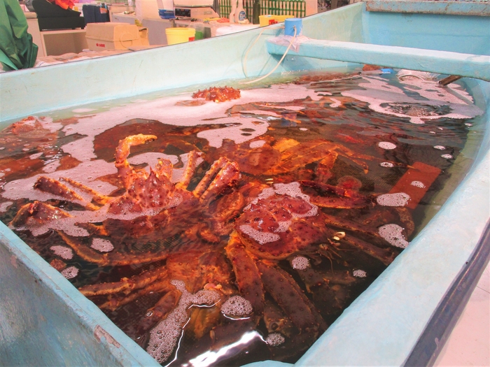 舟形水槽の蟹※イメージ