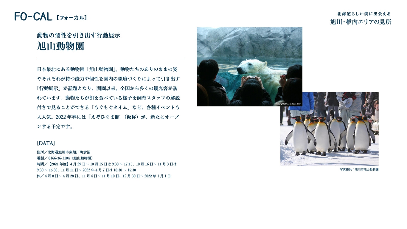 「旅色FO-CAL」北海道特集 旭山動物園