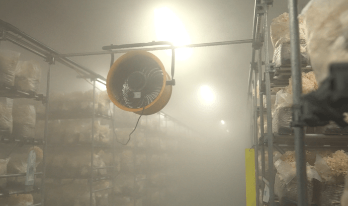 花びら茸の栽培風景