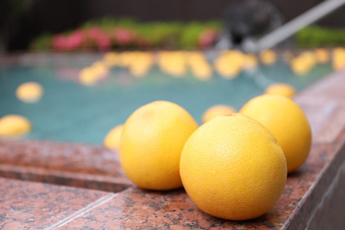 グレープフルーツをそのまま浮かべる!