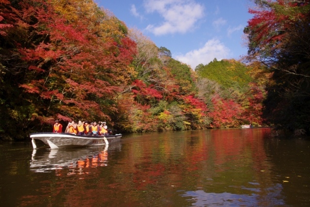 間近で見る亀山湖の紅葉は鮮やかの一言!関東随一の紅葉スポットをお楽しみください。