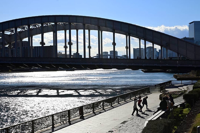 satogawa.9carp  撮影場所:勝鬨橋