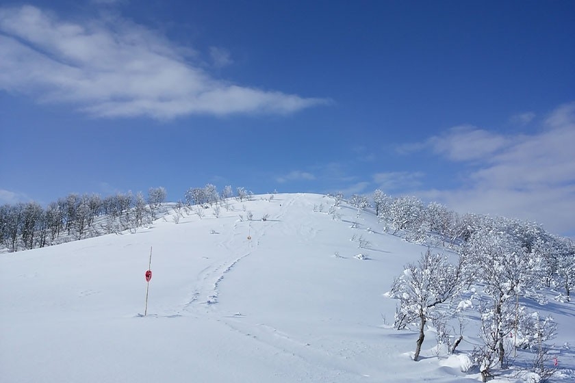 スキージャム勝山(福井県 勝山市)