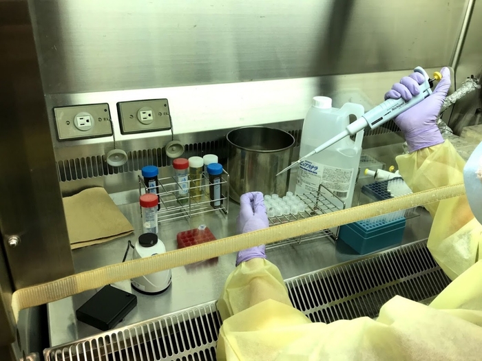 不活化試験の様子