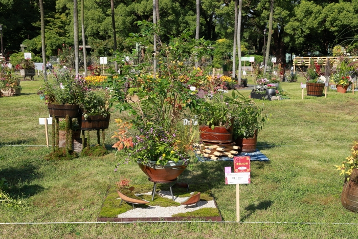 2024年度 環境大臣賞 ≪爽籟 ～Sorai～≫山口 玲奈