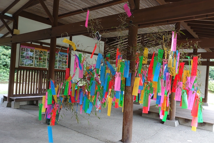 過去開催の様子(浜離宮恩賜庭園)