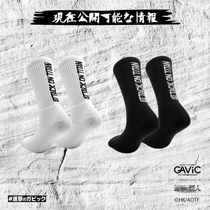 ON/OFFソックス 進撃の巨人