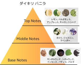 フランス・ロベルテ社とのコラボレーションで生まれた 新たな香りの境地 シナリーオードトワレ。 『Daiquiri vanilla・Daiquiri Iris』