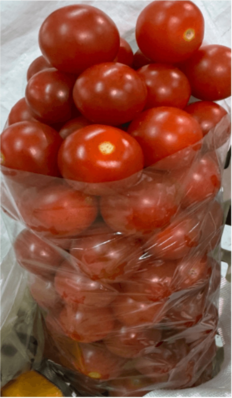 ミニトマト詰め放題イメージ