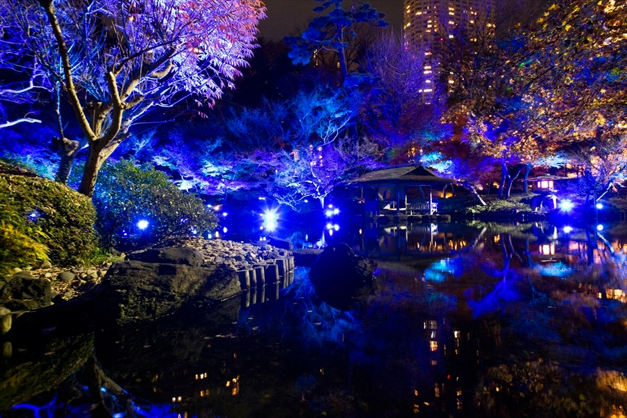 ライトアップされた庭園