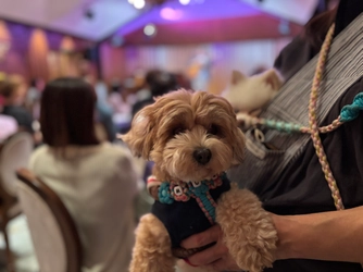 犬と一緒に音楽を楽しむ贅沢な午後　 『わんわんサウンドシエスタ Vol.3』 9月14日(日)開催 人気バイオリニストはなしま なおみ追加出演決定！