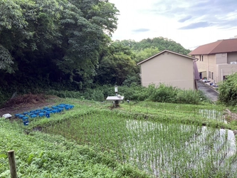 グローブライドが環境保全を支援する 近畿大学(奈良キャンパス)の里山におけるビオトープが 環境省「自然共生サイト」の認定評価を取得