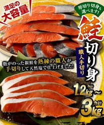 【熊本県水俣市ふるさと納税】水俣市で加工された鮭切り身を選べる容量で受付中！