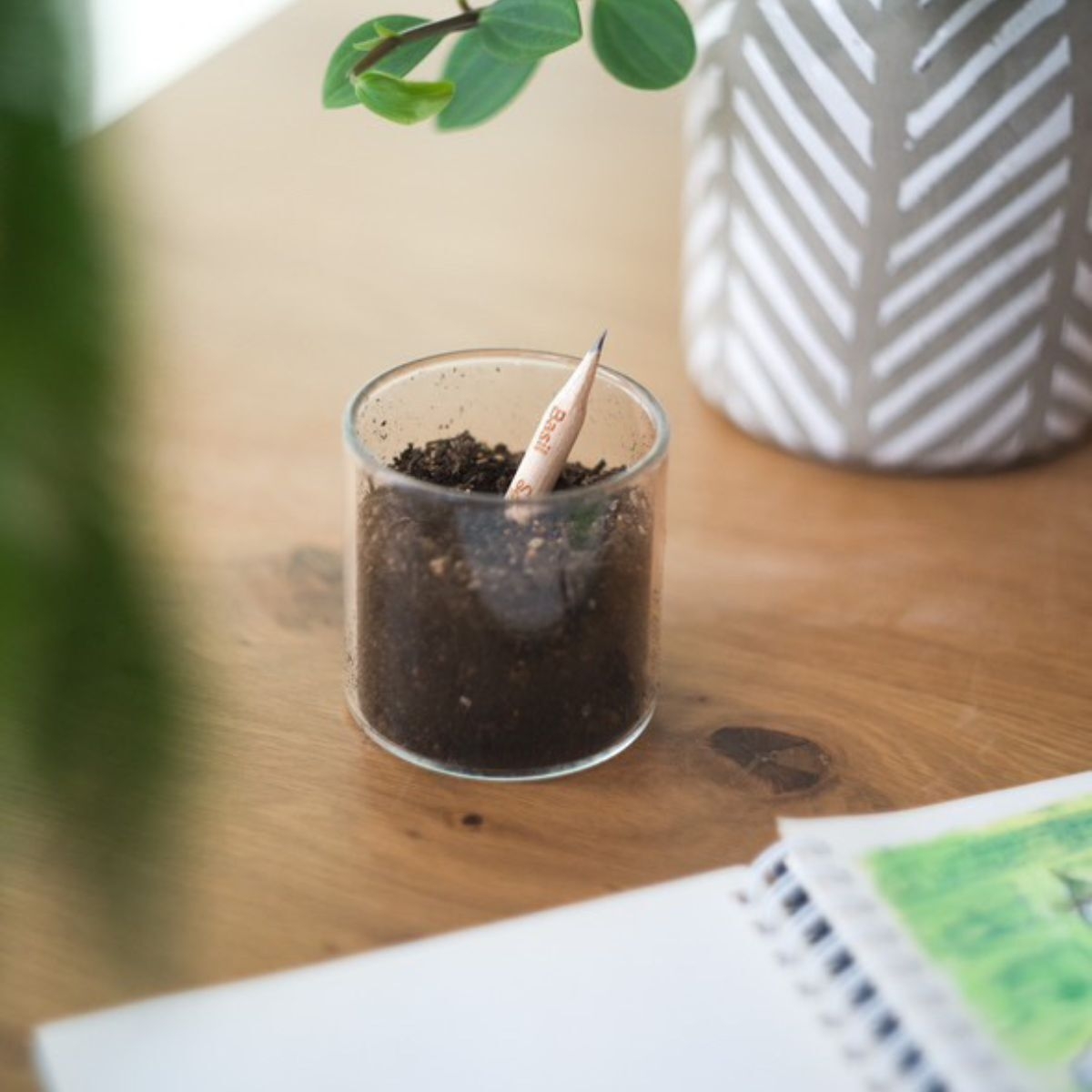 販売商品(芽が出る鉛筆)