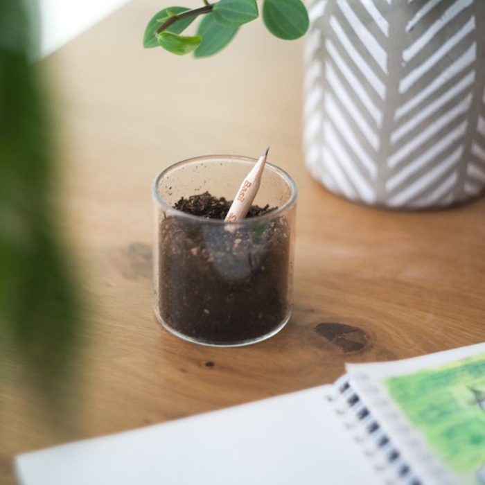 販売商品(芽が出る鉛筆)