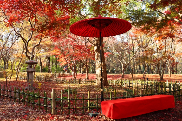 かえで園フォトスポット(令和4年撮影)