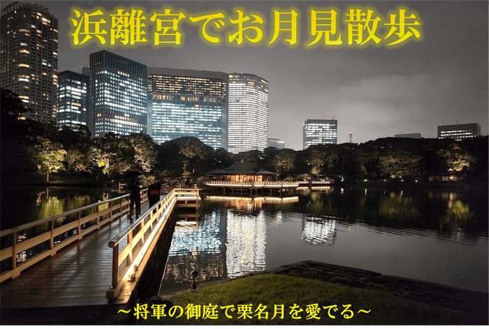 過去のライトアップの様子