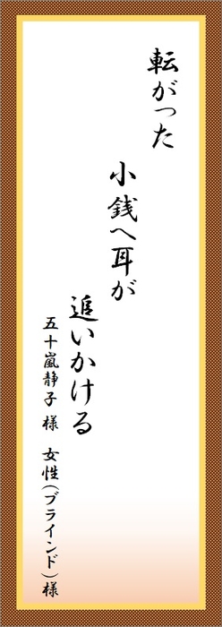 部門賞:見えにくさ感じている方部門