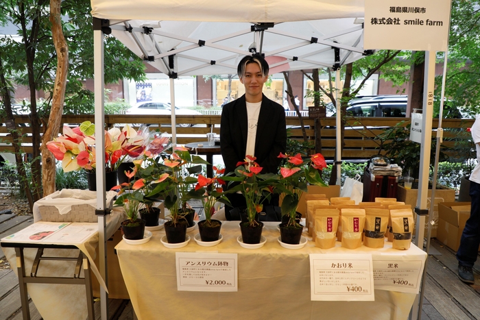 復興の花・アンスリウムもアレンジメントと鉢販売