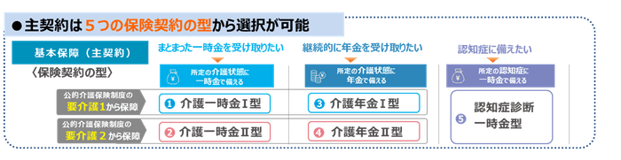 主契約・特則(オプション)の構成