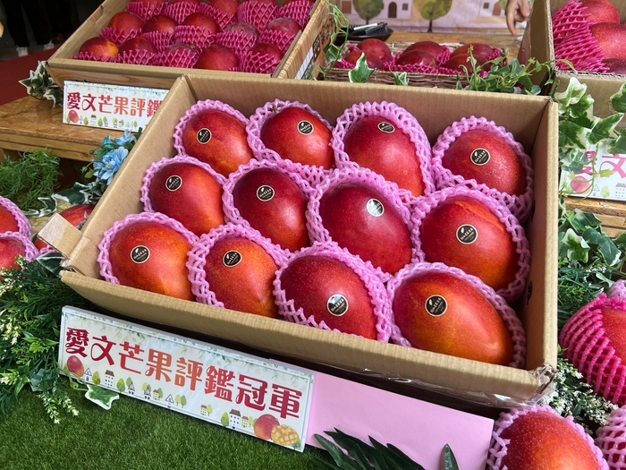 台湾屏東県最優秀県知事賞受賞チャンピオンマンゴー