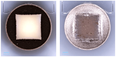 提供する画像の例。左が防かび加工品(判定0)、右が未加工品(判定5) ※判定はJIS Z2911の基準による=下表参照