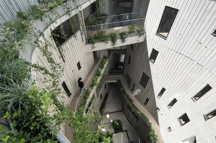 緑あふれる中庭に、太陽の光が差し込むように設計されている (撮影:西川公朗)