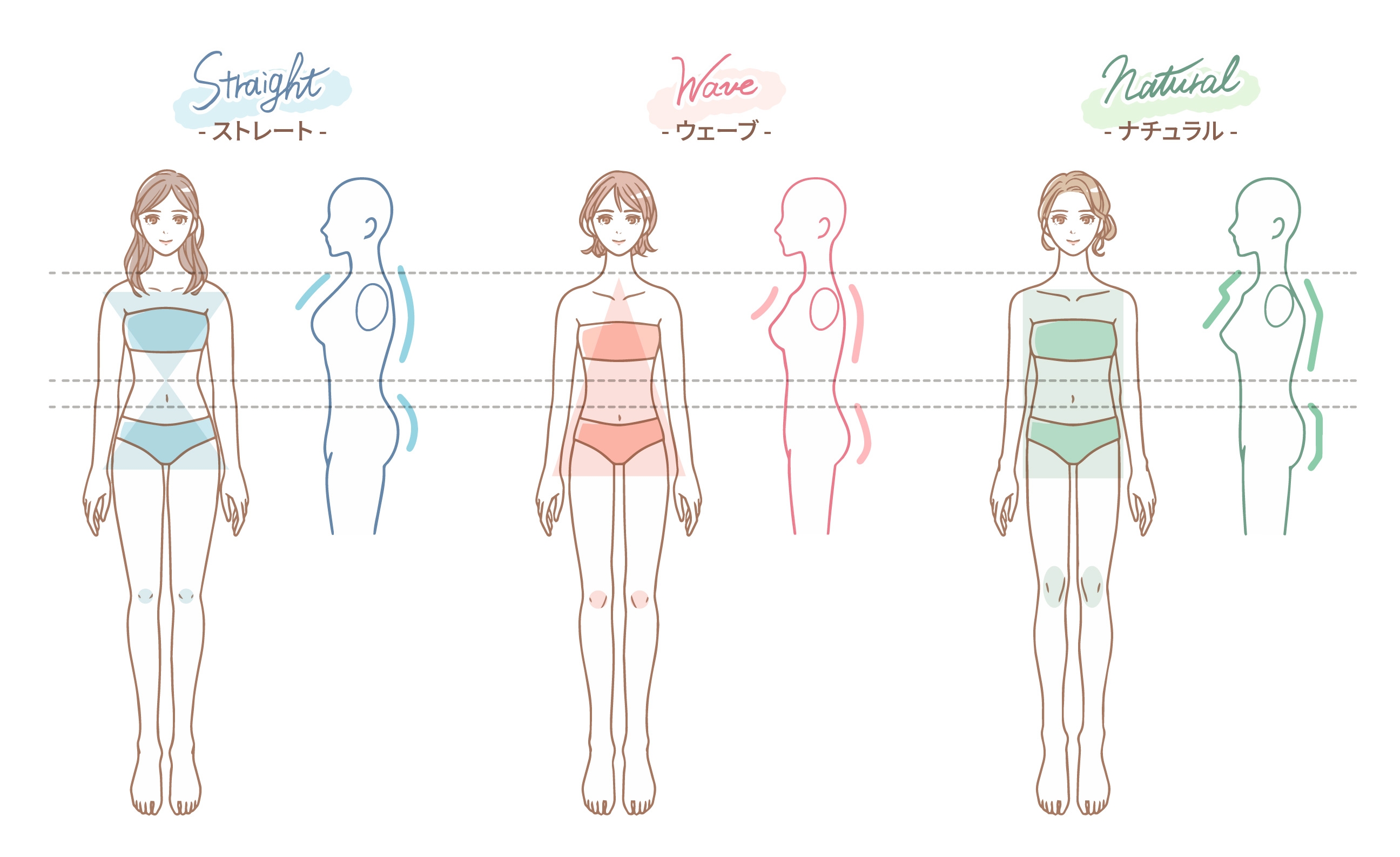 骨格診断とは?