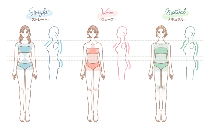 骨格診断とは?