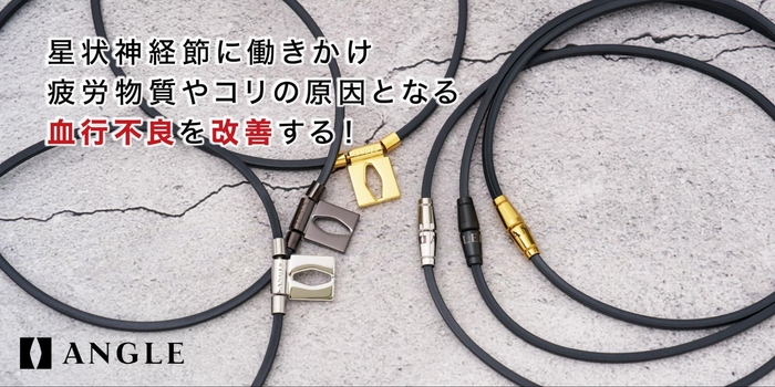 ANGLE(アングル)_今後の展開