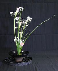 ビジネスリーダーがIKEBANAをいけるIN東京タワー　 イベント「花響HANAYUME」 4月19日～29日まで開催　 いける日は4月18日16:00～4月24日9時～29日表彰式