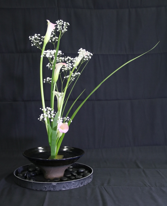 テーマ：まぼろし