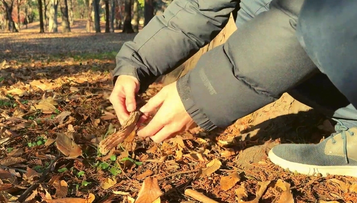 枝をひろっている様子
