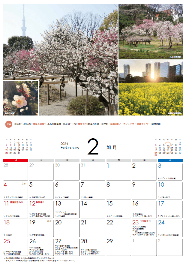 都立庭園カレンダー2024(2月)